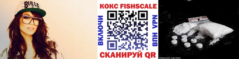 Cocaine FishScale  Купить закладки  Семёнов 