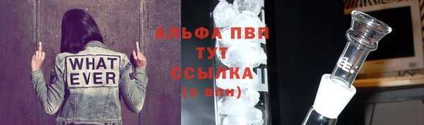 стаф Волоколамск