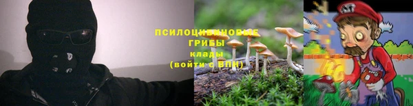 стаф Волоколамск