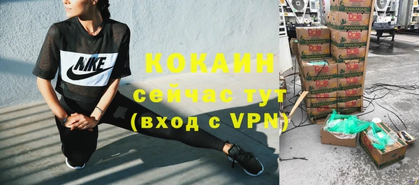 стаф Волоколамск