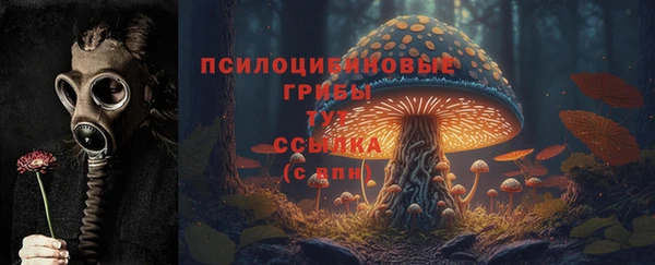 амф Волосово