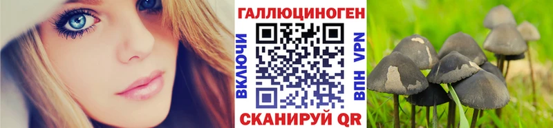 Купить  Семёнов  Галлюциногенные грибы мицелий 